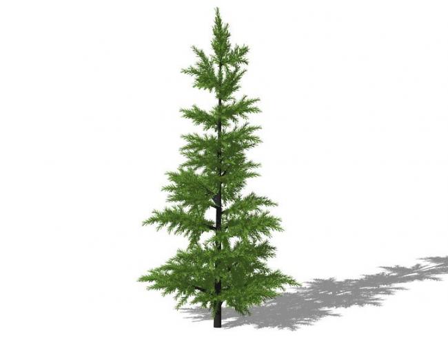 Sketchup素材模型|3D植物树SU模型素材组件