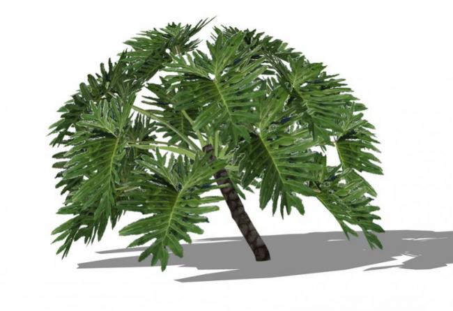 Sketchup素材模型|3D植物树SU模型素材组件