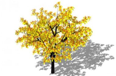 Sketchup素材模型|3D植物树SU模型素材组件-BIM建筑网