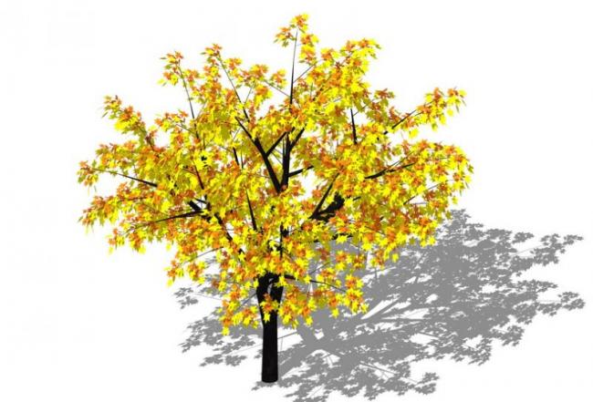 Sketchup素材模型|3D植物树SU模型素材组件