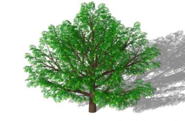 Sketchup素材模型|3D植物树SU模型素材组件-BIM建筑网