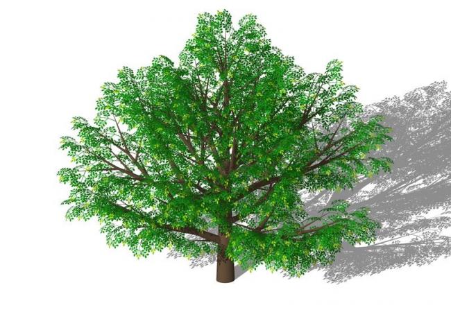 Sketchup素材模型|3D植物树SU模型素材组件