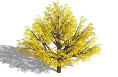 Sketchup素材模型|3D植物树SU模型素材组件-BIM建筑网