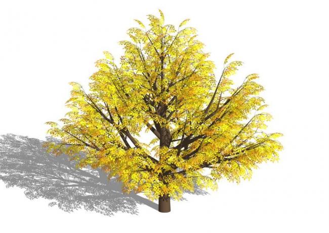 Sketchup素材模型|3D植物树SU模型素材组件