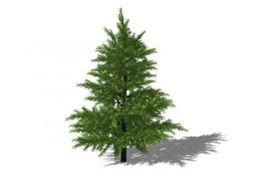 Sketchup素材模型|3D植物树SU模型素材组件-BIM建筑网