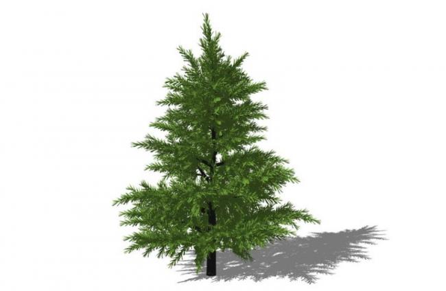 Sketchup素材模型|3D植物树SU模型素材组件