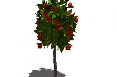 Sketchup素材模型|3D植物树SU模型素材组件-BIM建筑网