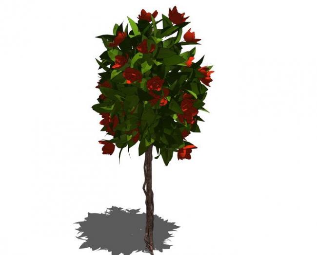 Sketchup素材模型|3D植物树SU模型素材组件