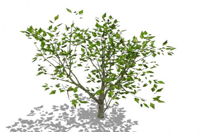 Sketchup素材模型|3D植物树SU模型素材组件