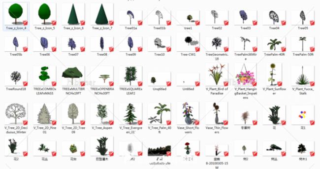 Sketchup素材模型|景观植物树模型组件素材