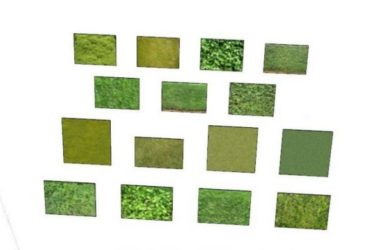 Sketchup素材模型|植物SU贴图，建筑模型组件素材-BIM建筑网