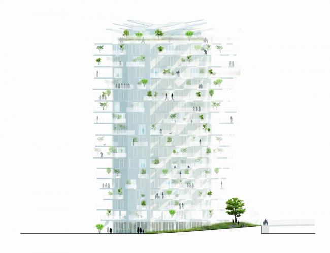 BIM建筑|枝叶四散，挺立耸立的白色树塔公寓 / 藤本壮介等