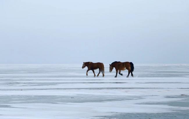 BIM建筑|经验｜“爱折腾”少女横冲直撞重返哈佛之路