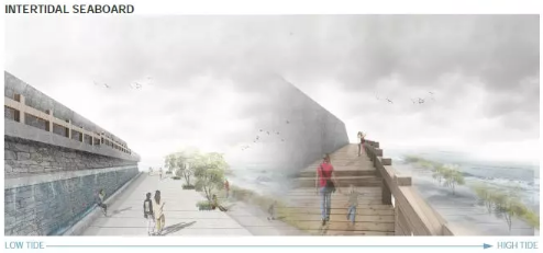 BIM建筑|经验｜“爱折腾”少女横冲直撞重返哈佛之路