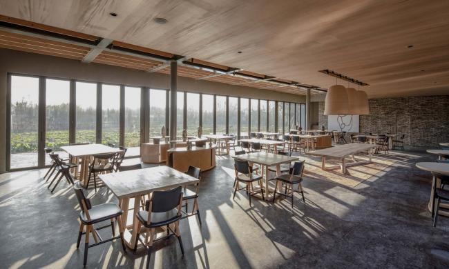 BIM建筑|四川安仁OCT“水西东”林盘文化交换中间 / 上海创友邦际建筑设计