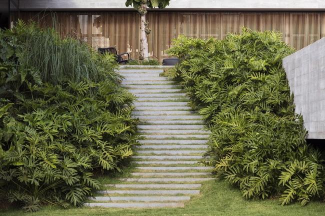 BIM建筑|郁郁葱葱，融于天然的巴西现代小清爽室第