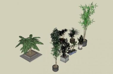Sketchup素材模型|陶罐花钵植物，素材组件-BIM建筑网