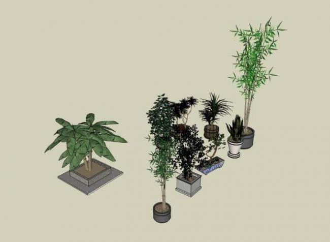 Sketchup素材模型|陶罐花钵植物，素材组件