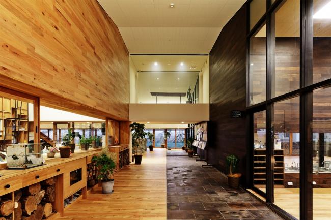 BIM建筑|YM 幼儿园 / 日比野设计