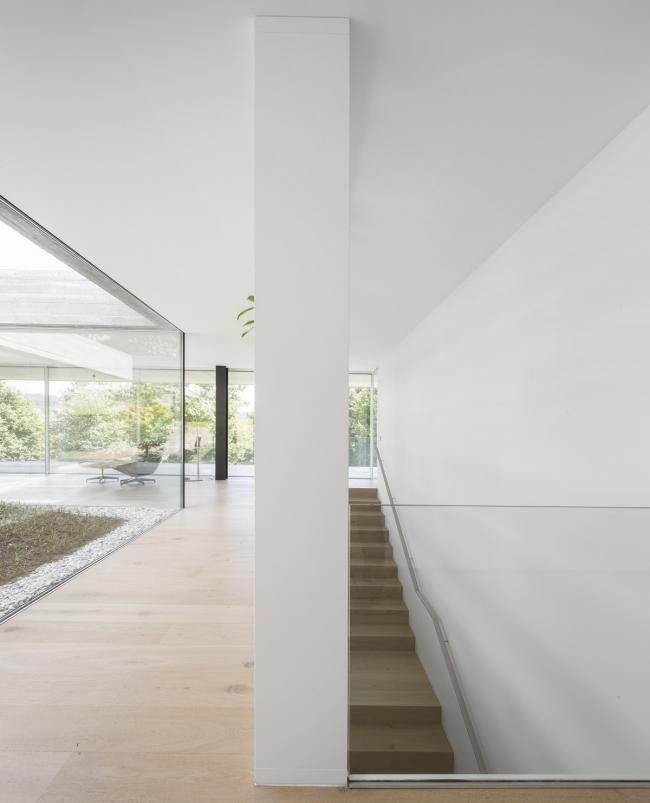 BIM建筑|纯净而原始——葡萄牙桑巴室第 / spaceworkers