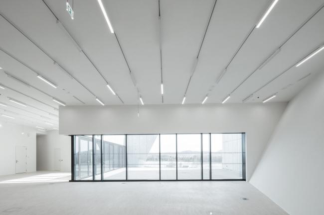 BIM建筑|风中芭蕾，奥地利州立美术馆 / Marte.Marte Architects