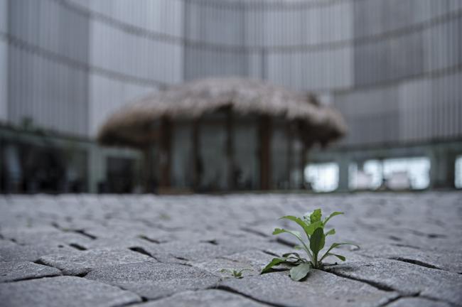 BIM建筑|管中窥豹，上海喜玛拉雅中间无极场茶馆设计 / 上海善祥建筑设计