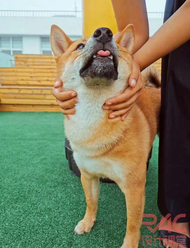 BIM建筑|回想|前方高能-rac线下留学分享会、年夜轰趴现场图新颖出炉