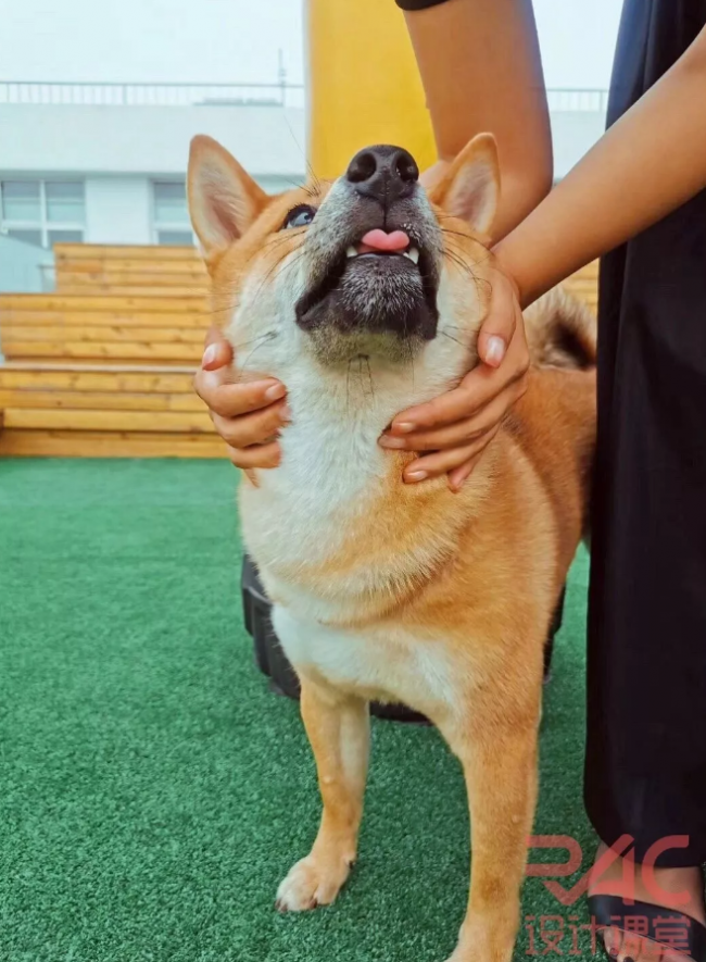 BIM建筑|Rac studio | 一则正经的招生告白2.0