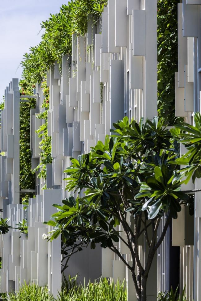 BIM建筑|千寻丛林瀑布倾注而下的光影空间：Naman 温泉会所 / MIA Design Studio