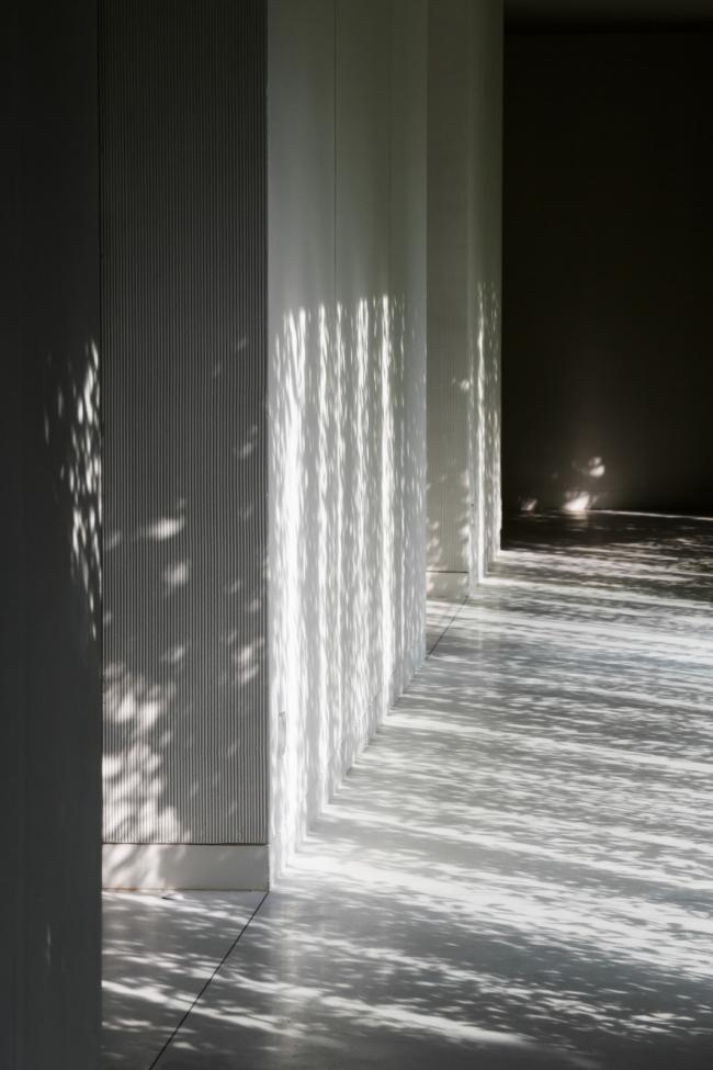 BIM建筑|千寻丛林瀑布倾注而下的光影空间：Naman 温泉会所 / MIA Design Studio