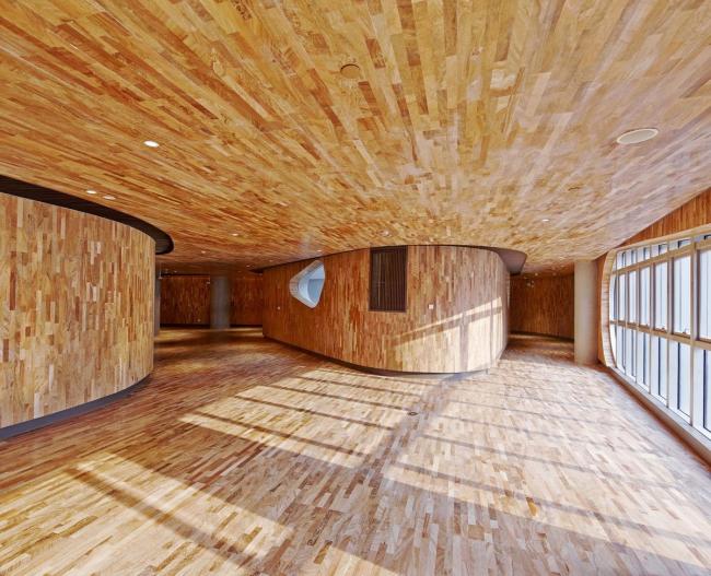 BIM建筑|现代轻透与传统厚重融合的美感：上海虹桥艺术中间 / BAU