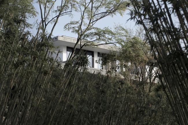 BIM建筑|舍得文化中间 / 很是建筑