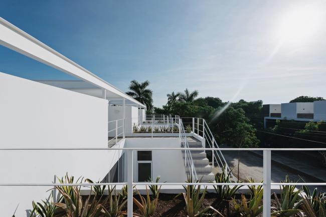 BIM建筑|索纳塔室第，应用楼梯打造交叉的公共及私家空间 / Arkham Projects