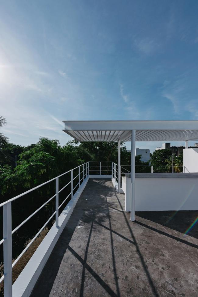 BIM建筑|索纳塔室第，应用楼梯打造交叉的公共及私家空间 / Arkham Projects