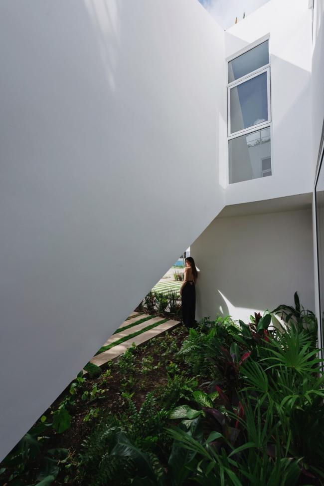 BIM建筑|索纳塔室第，应用楼梯打造交叉的公共及私家空间 / Arkham Projects