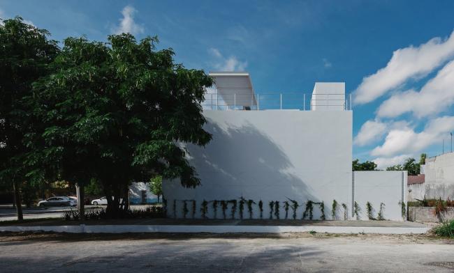 BIM建筑|索纳塔室第，应用楼梯打造交叉的公共及私家空间 / Arkham Projects