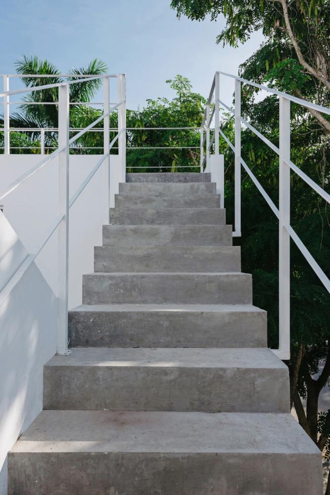 BIM建筑|索纳塔室第，应用楼梯打造交叉的公共及私家空间 / Arkham Projects