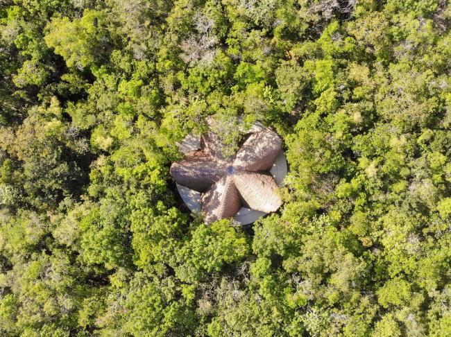 BIM建筑|Luum寺，竹参数化下的天然之美 / CO-LAB Design Office