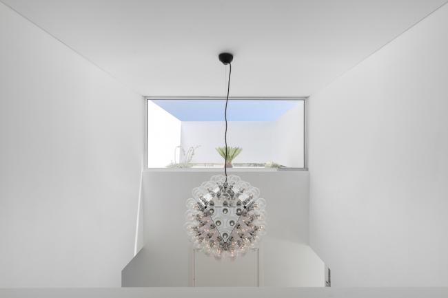 BIM建筑|五个平台和一个花圃 / corpo atelier