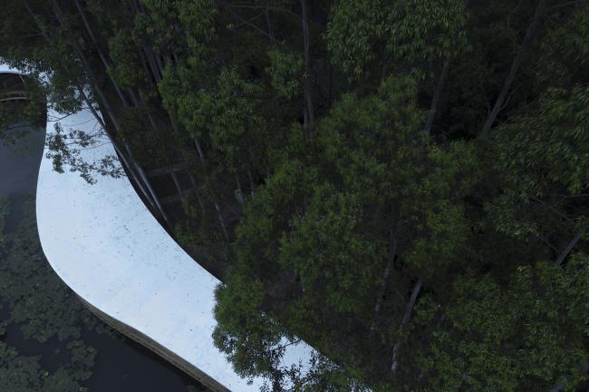 BIM建筑|云雾氤氲，丝带超脱：云镜 · 花圃暖锅餐厅 / 慕达建筑