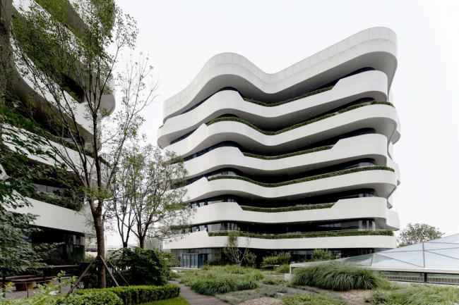 BIM建筑|宛若柔柔翻腾的海浪：天筠产业办公组团 / 第一实践建筑设计