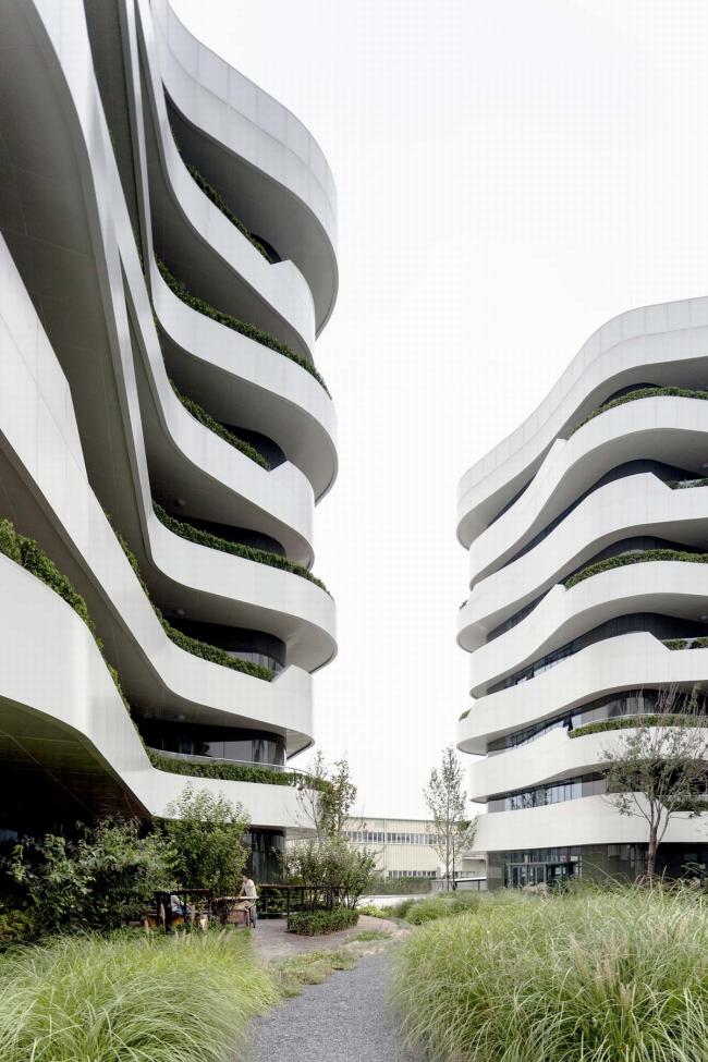 BIM建筑|宛若柔柔翻腾的海浪：天筠产业办公组团 / 第一实践建筑设计