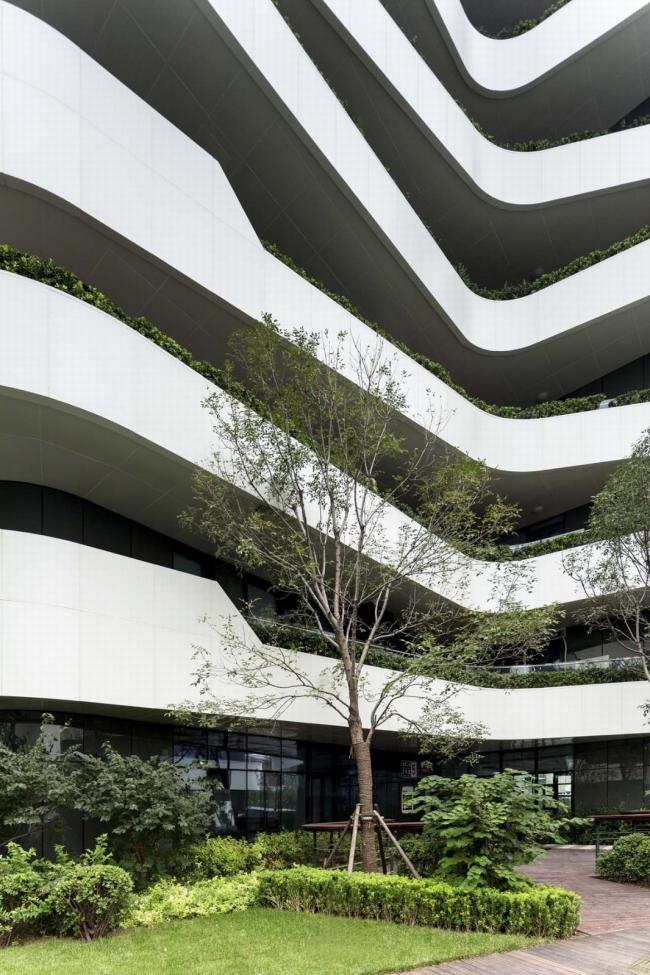 BIM建筑|宛若柔柔翻腾的海浪：天筠产业办公组团 / 第一实践建筑设计