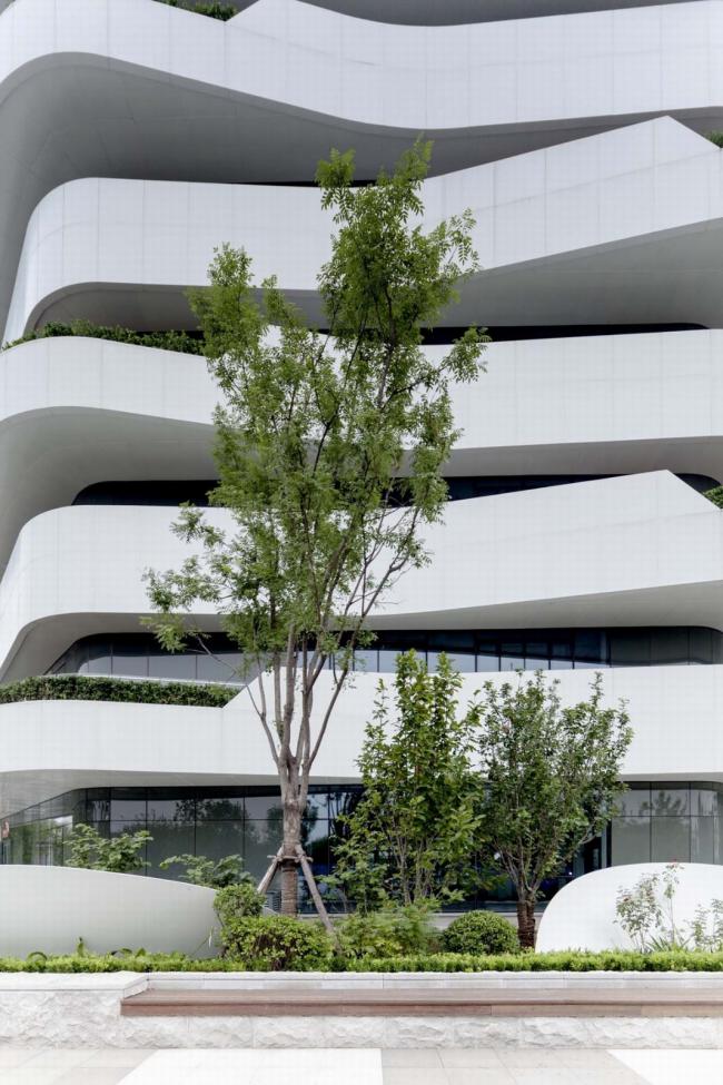 BIM建筑|宛若柔柔翻腾的海浪：天筠产业办公组团 / 第一实践建筑设计