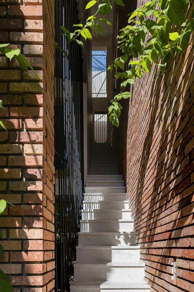 BIM建筑|空间嵌套，会呼吸的热带室第 / IZ Architects