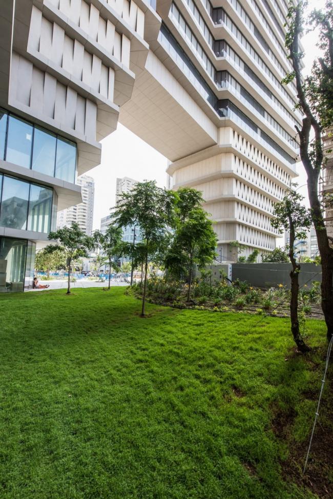 BIM建筑|倒置的冰山：ToHA 办公楼 / Ron Arad Architects