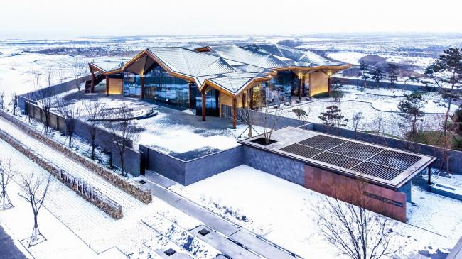 BIM建筑|朔方野奢，明心菩提：拉唯那体验中间 / PTA上海柏涛