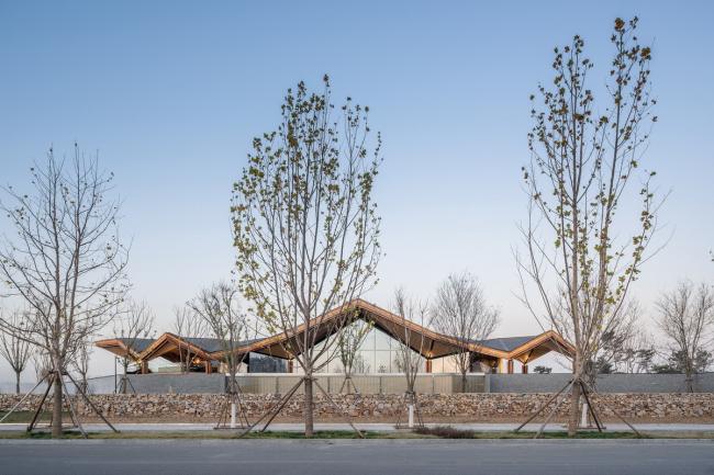 BIM建筑|朔方野奢，明心菩提：拉唯那体验中间 / PTA上海柏涛