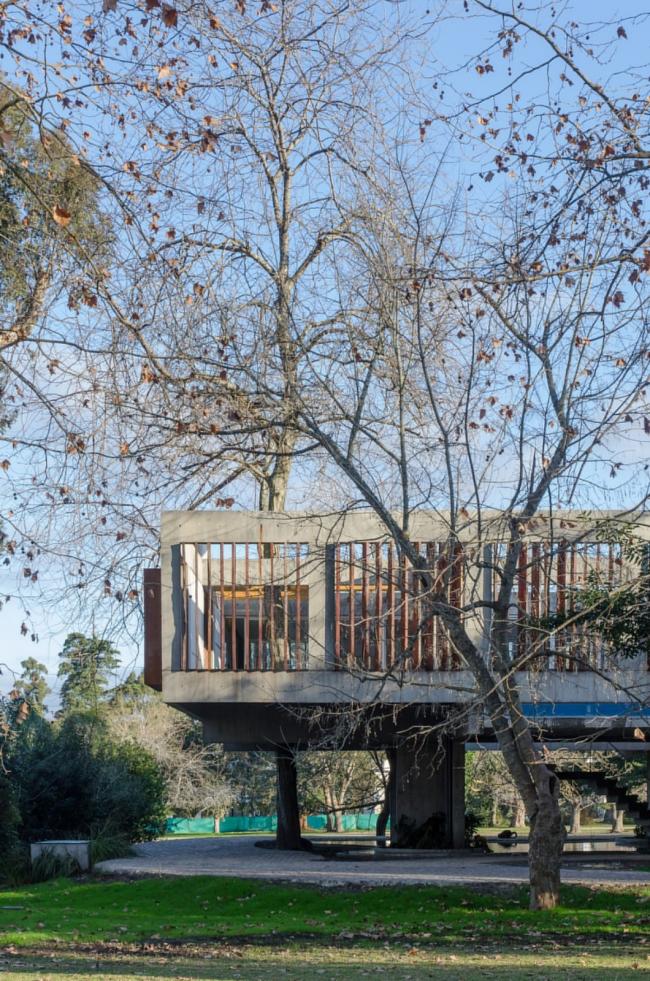 BIM建筑|与年夜树枝桠握手，混凝土打造的朴实之家 / Estudio Botteri-Connell