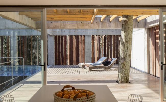 BIM建筑|与年夜树枝桠握手，混凝土打造的朴实之家 / Estudio Botteri-Connell